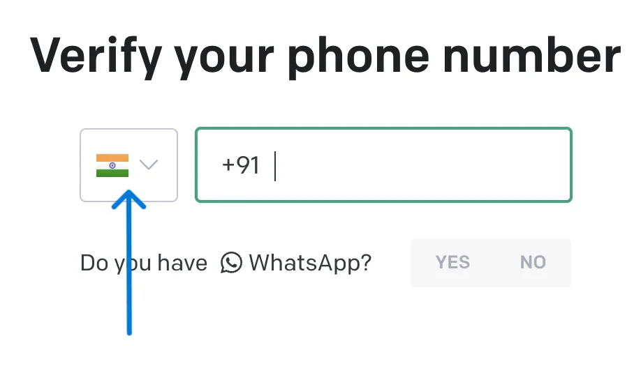 Why OpenAI Need Phone Number?
flag icon