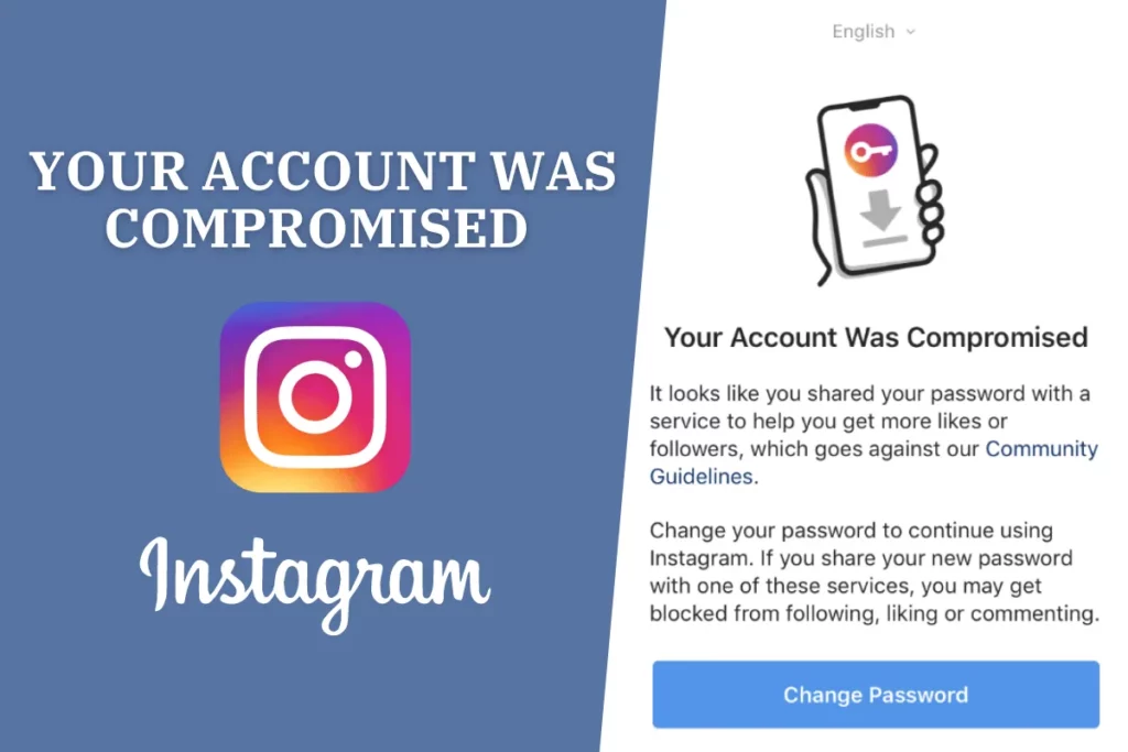 What To Do When Instagram Says Your Account Was Compromised