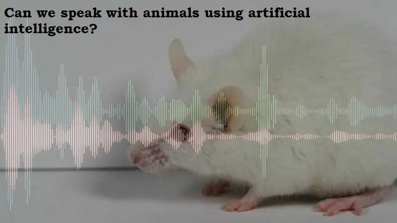 Can Artificial Intelligence Help Us Talk To Animals