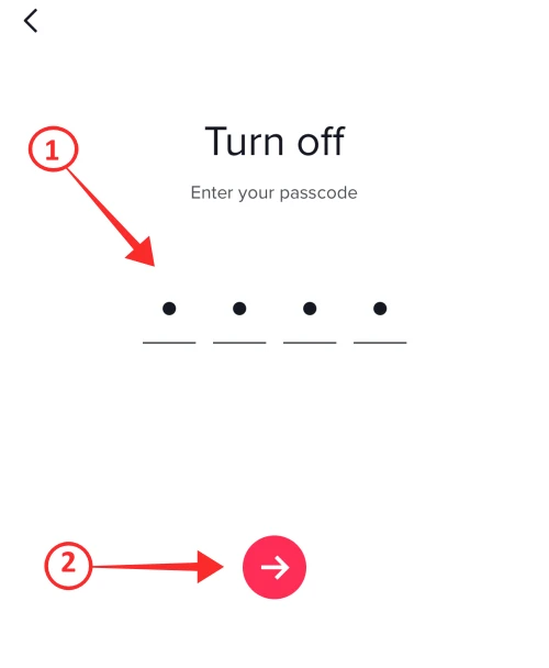 How To Bypass TikTok One Hour Daily Screen Limit - turn off