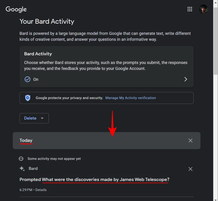 How To See Google Bard Chat History