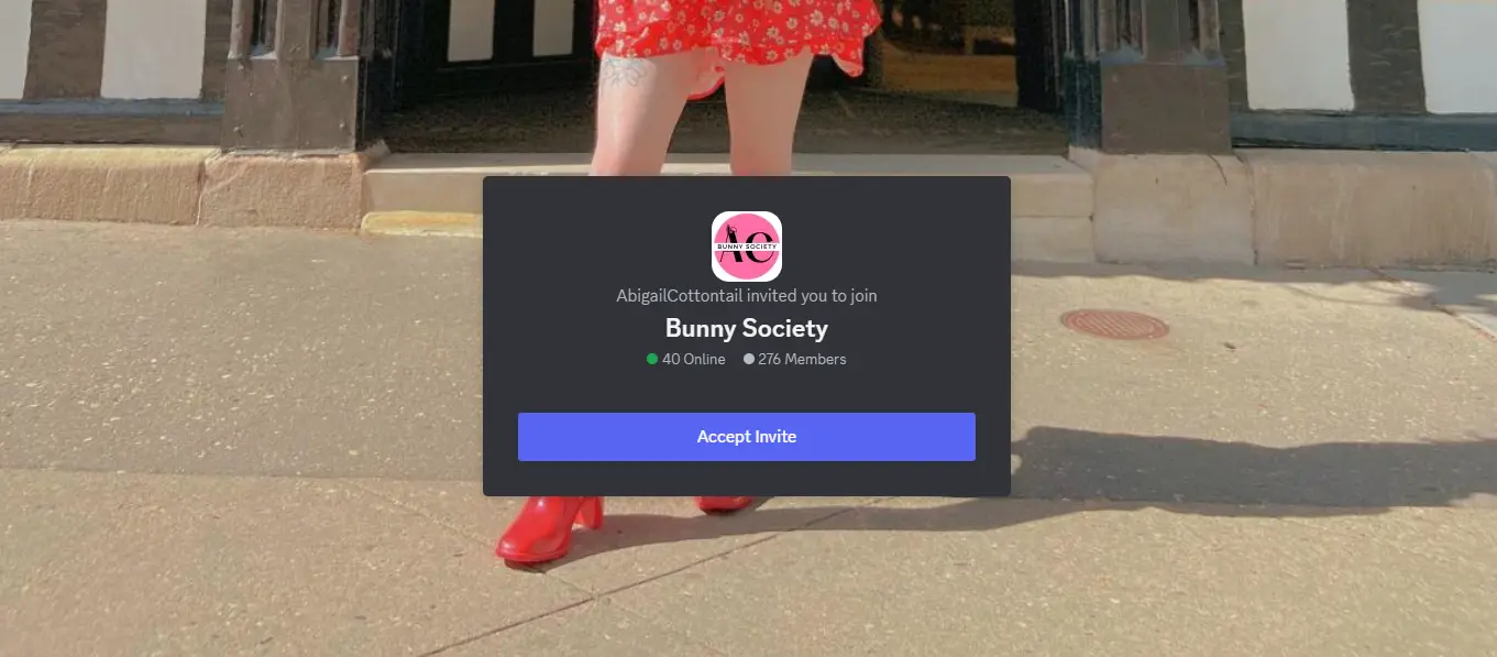 Bunnies Support Society Discord