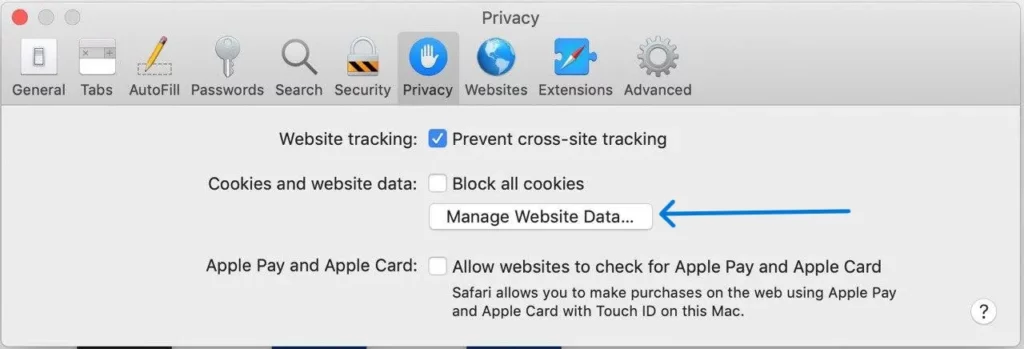 How To Fix Character AI App Not Working? Clear Cache & Cookies for Safari - Manage Website data