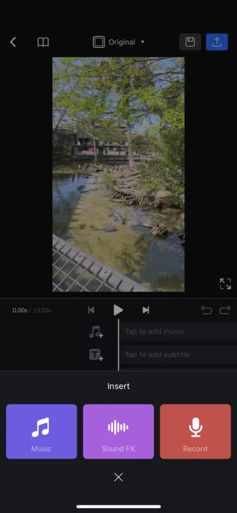 Use The Third Party App To Download Reel Audio