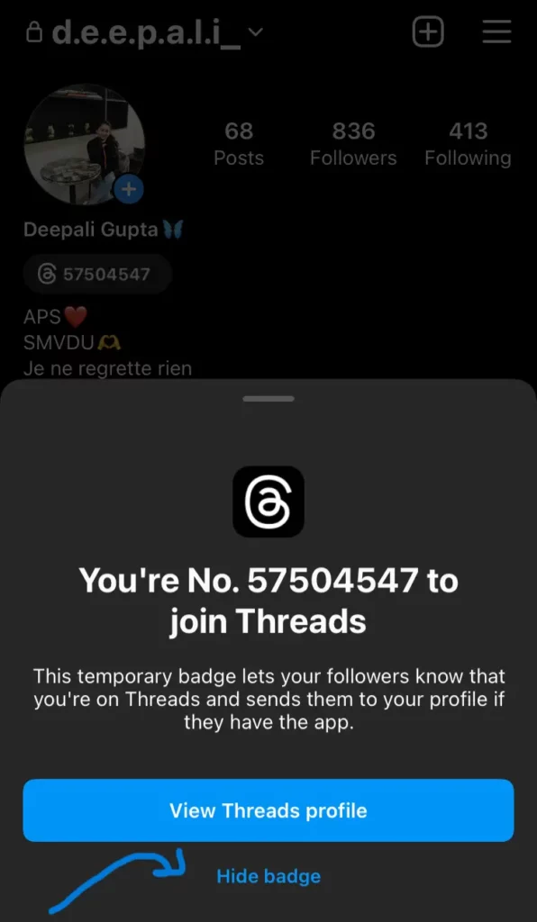 How To Hide Thread Profile Link From Your Instagram Profile Bio