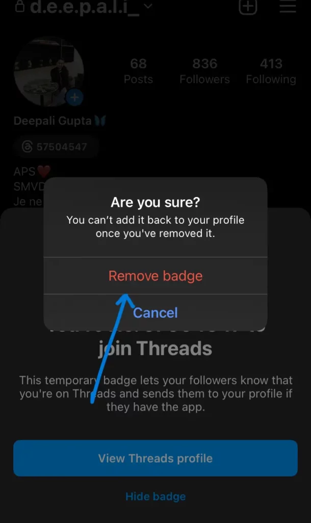 How To Hide Thread Profile Link From Your Instagram Profile Bio