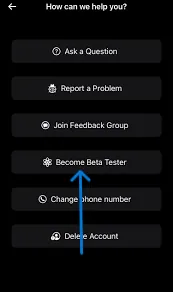 How To Fix BeReal Can't Resolve Your Request - Install Beta version 