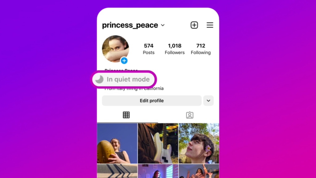 Wasn’t Notified About This Message Because They’re In Quiet Mode On Instagram